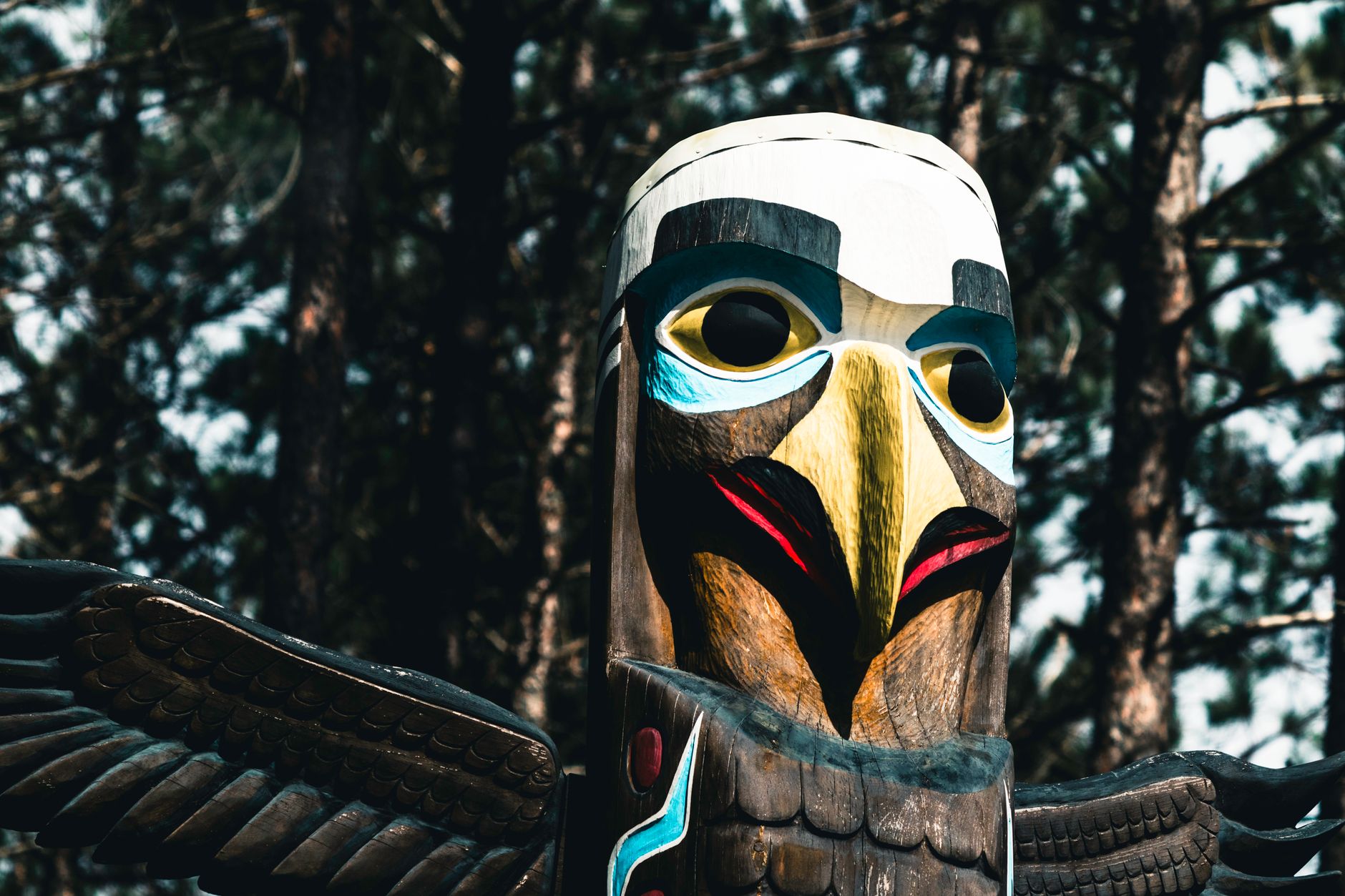 Native American Totem Animals & Their Meanings – Legends of…